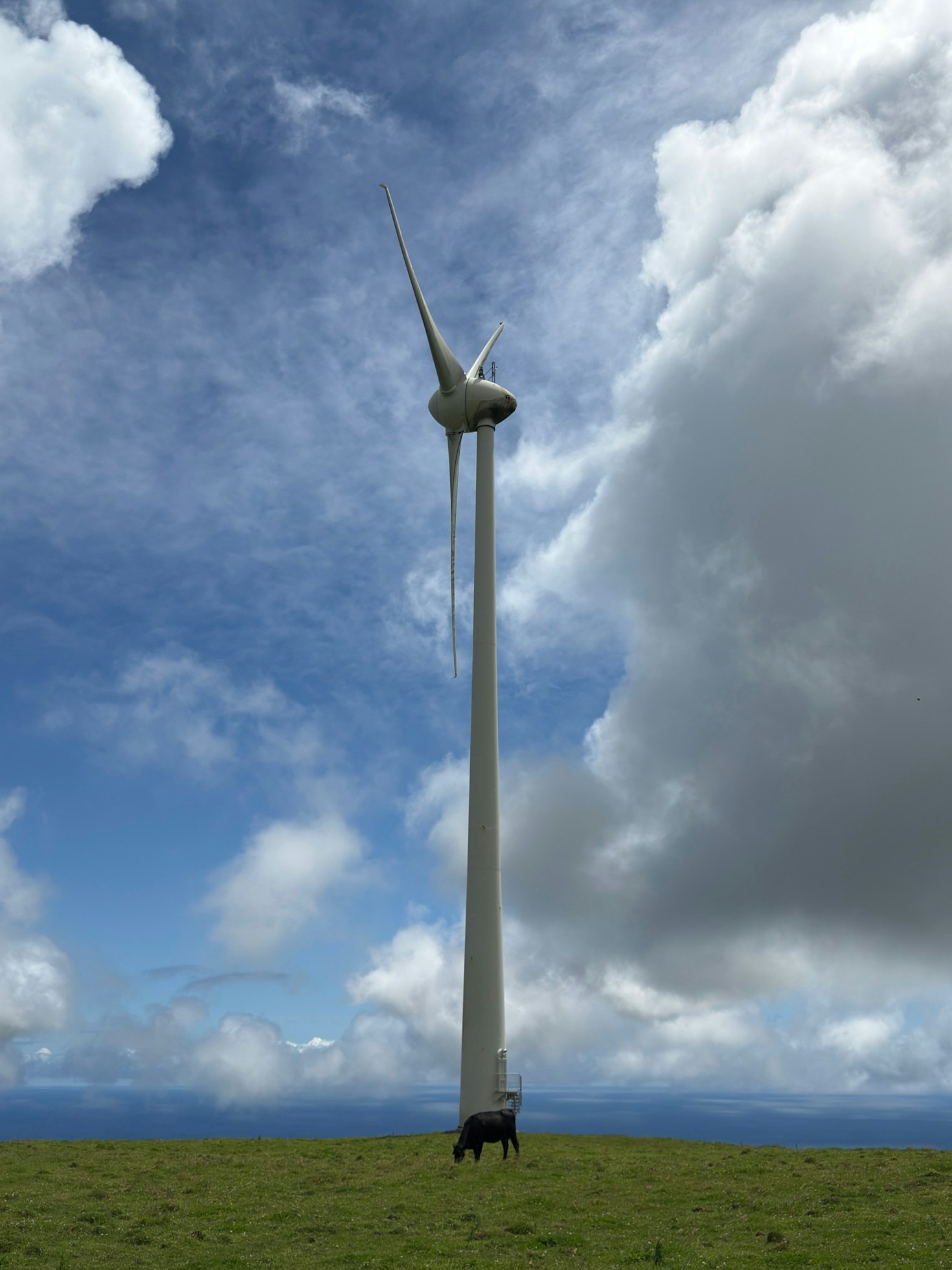 Ways to Achieve Sustainability with New Power Technologies